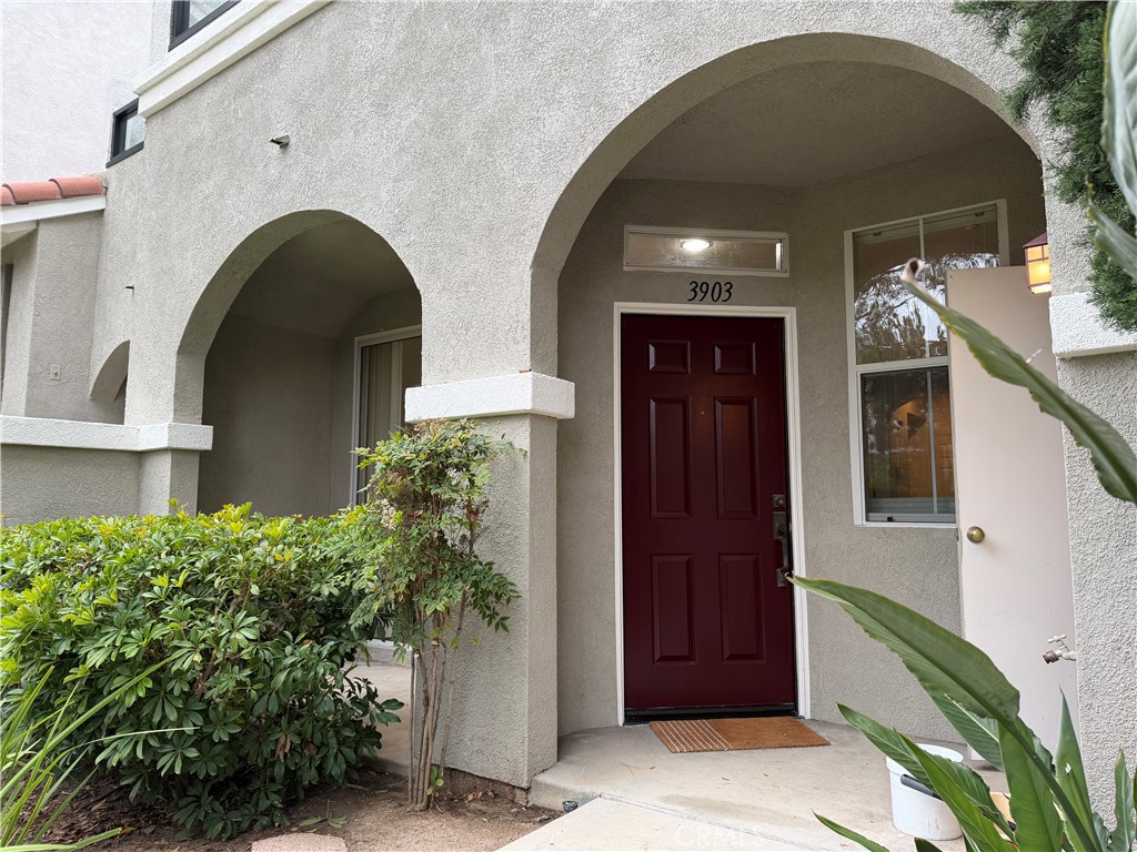3903 Orangewood