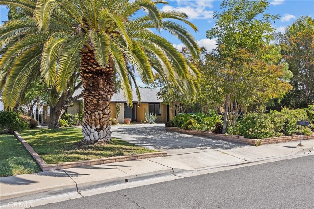 25660 Allen Way