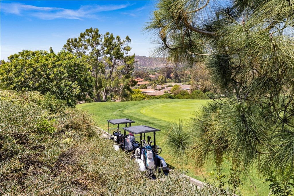 27209 Paseo Lomita