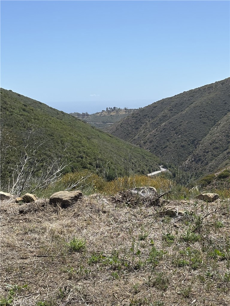 12110 Yellow Hill
