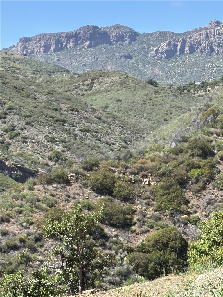12110 Yellow Hill