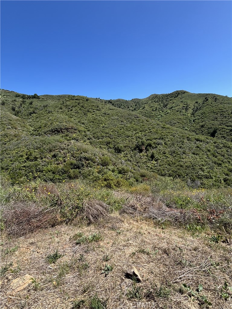 12110 Yellow Hill