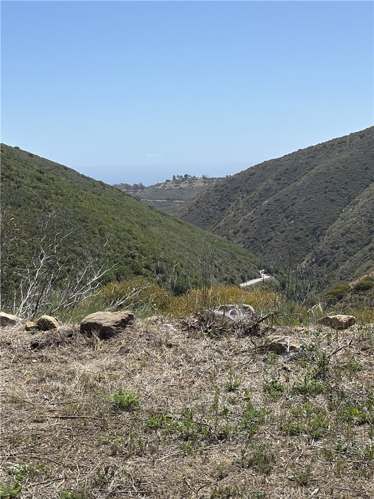 12110 Yellow Hill