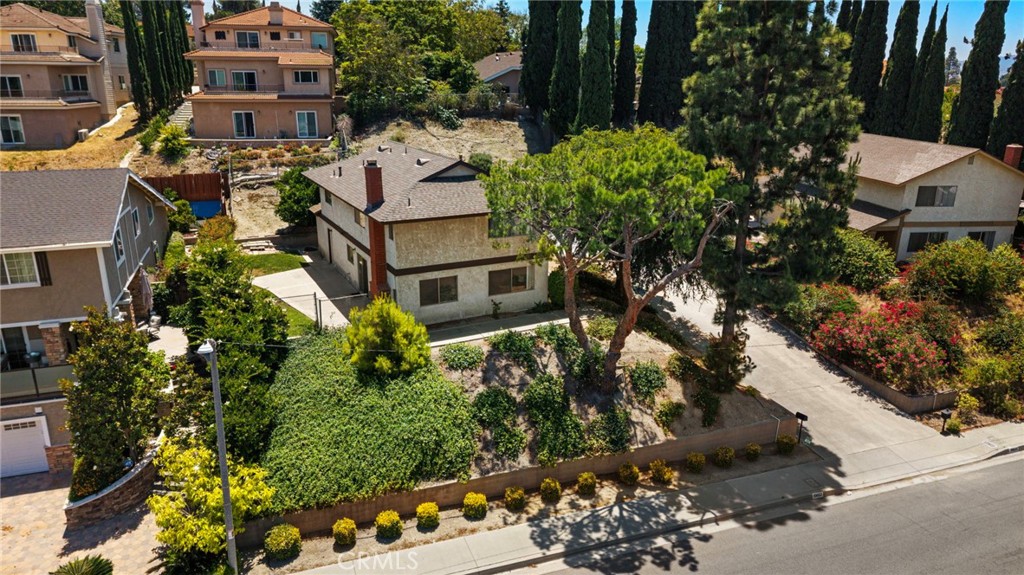 19652 Calle Baja