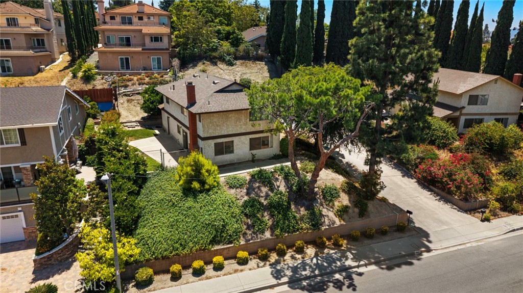 19652 Calle Baja