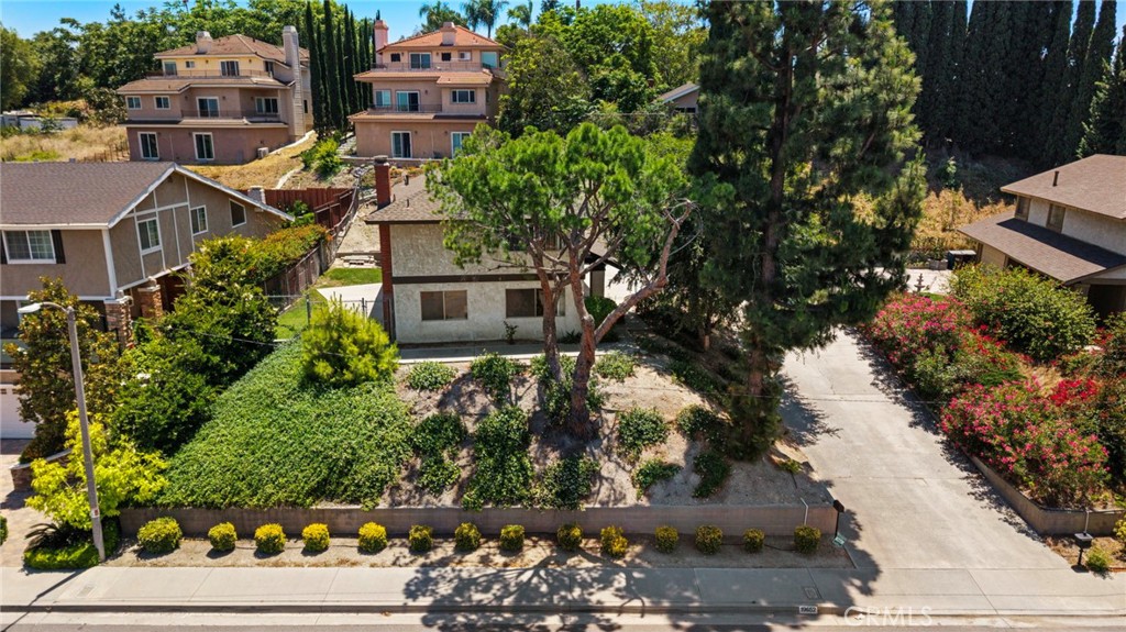 19652 Calle Baja