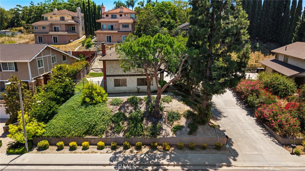 19652 Calle Baja