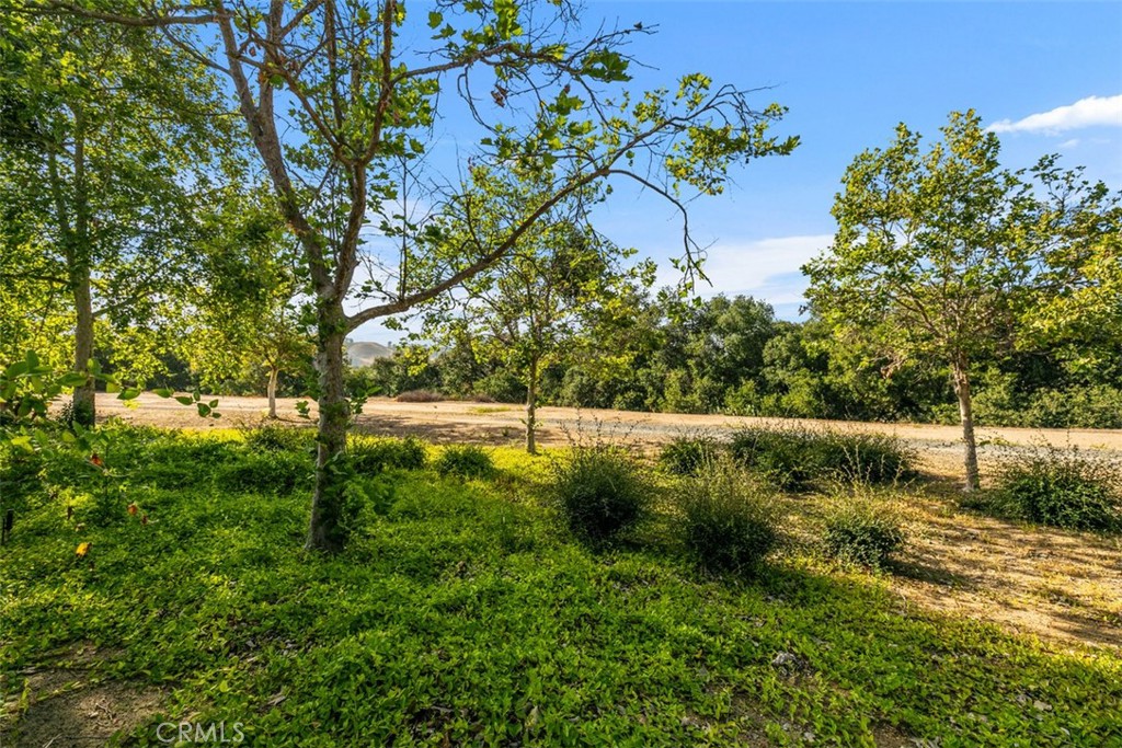 9 Acorn Ridge