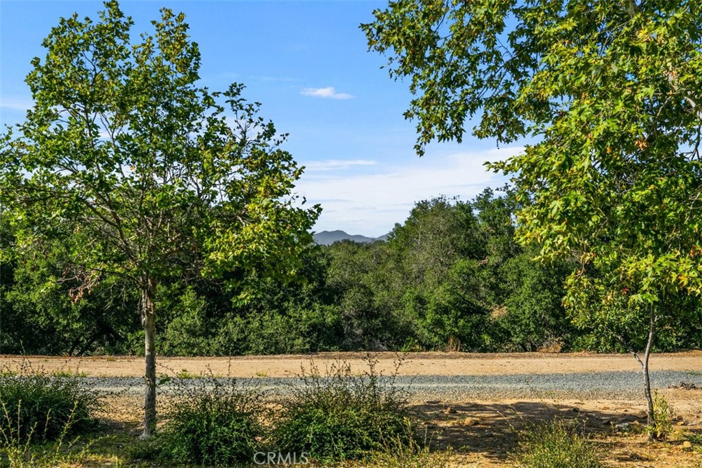 9 Acorn Ridge