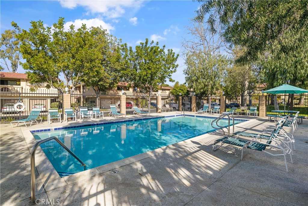 25224 Birch Grove Lane 3