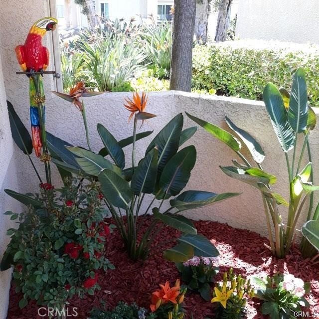 25182 Via Catalina