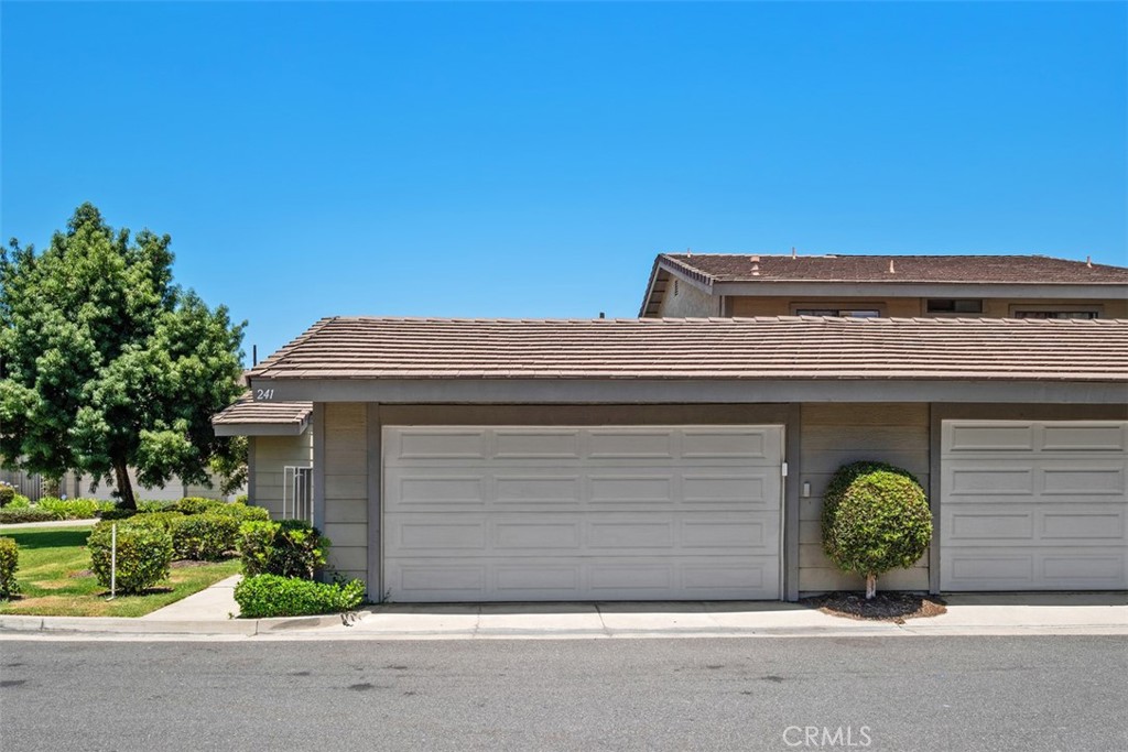 241 E Ponderosa Lane