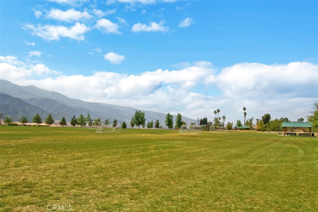 11415 Valley Oak