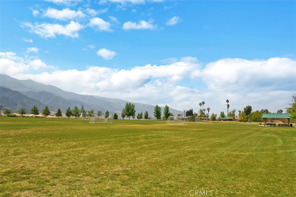 11415 Valley Oak