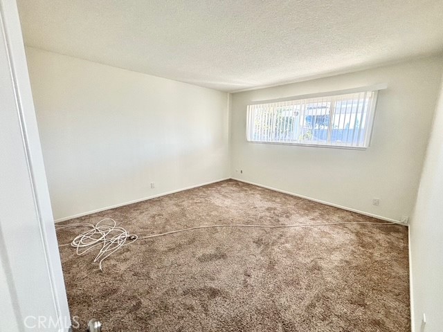 24252 Mccoy
