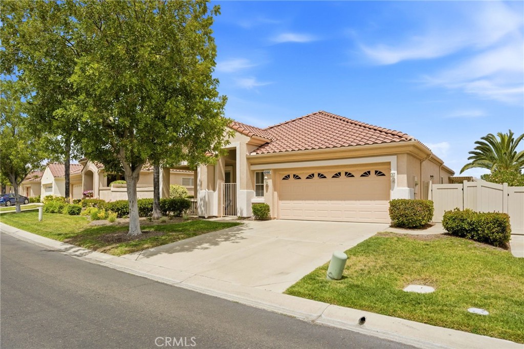 40190 Colony