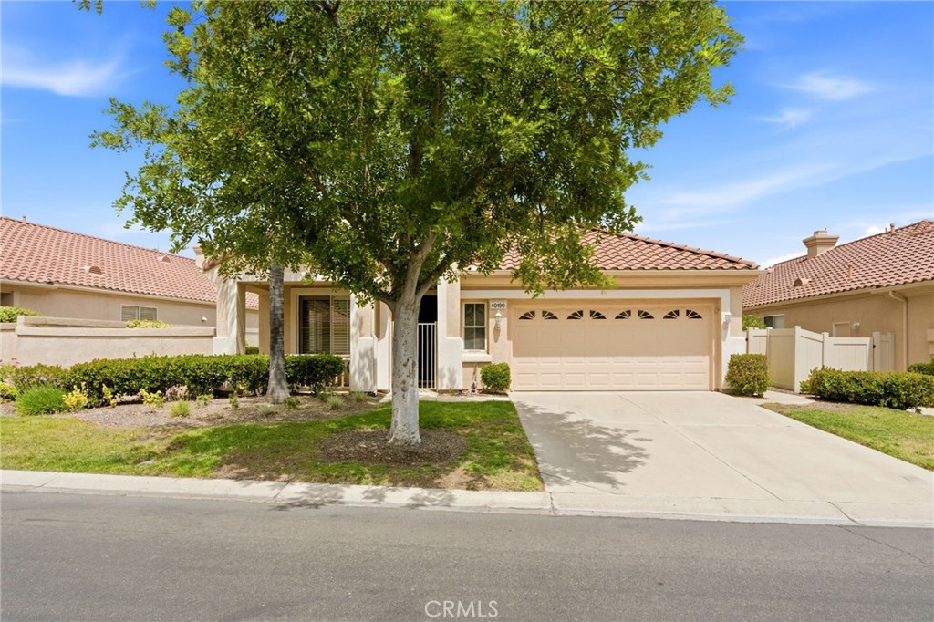 40190 Colony