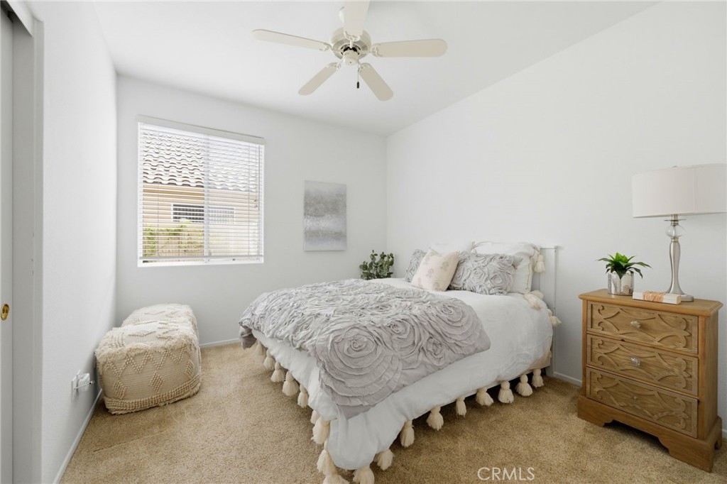 40190 Colony