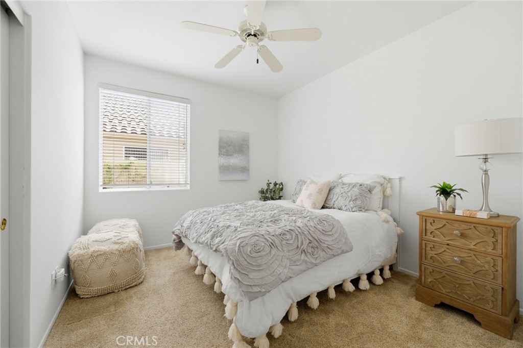 40190 Colony