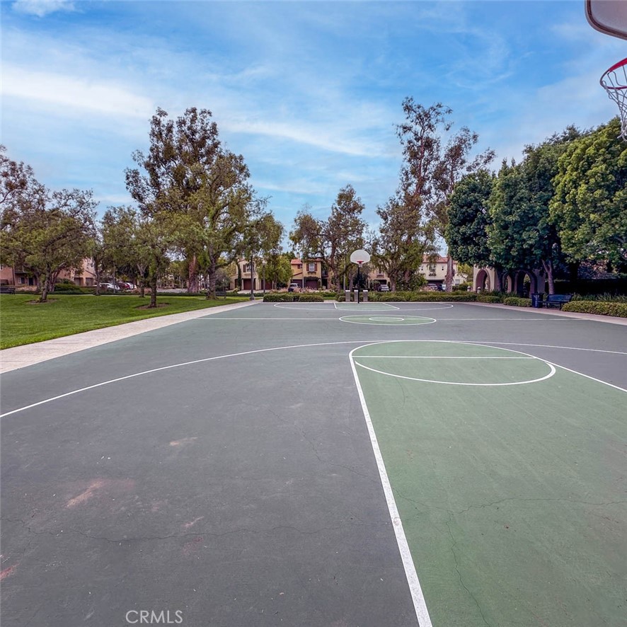 45 Leucadia 75