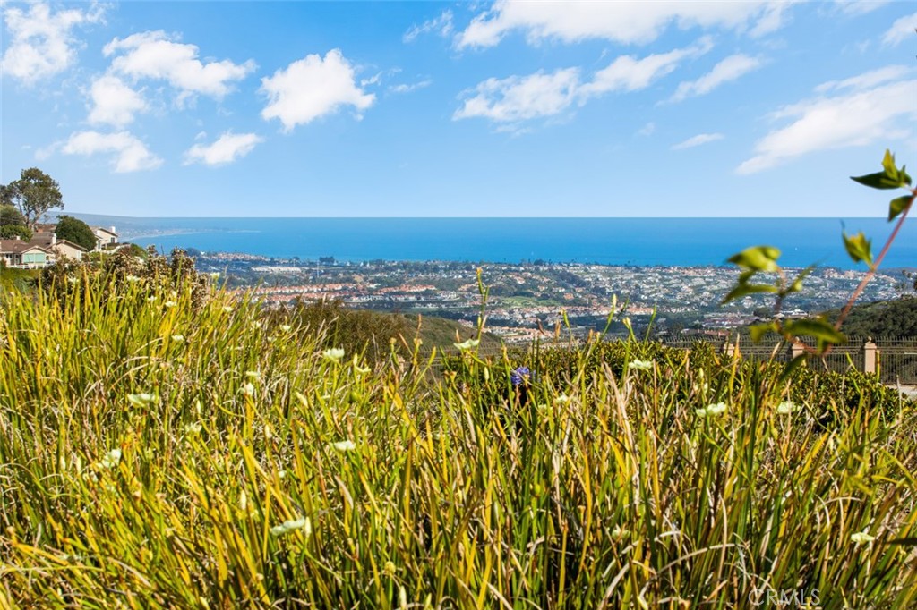 31462 Isle Vista