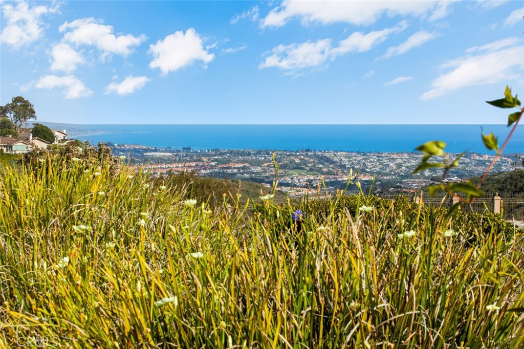 31462 Isle Vista