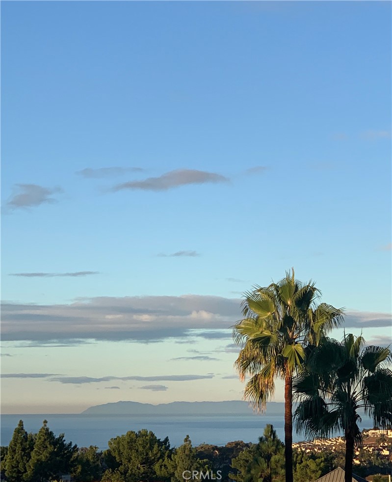 12 Los Cabos