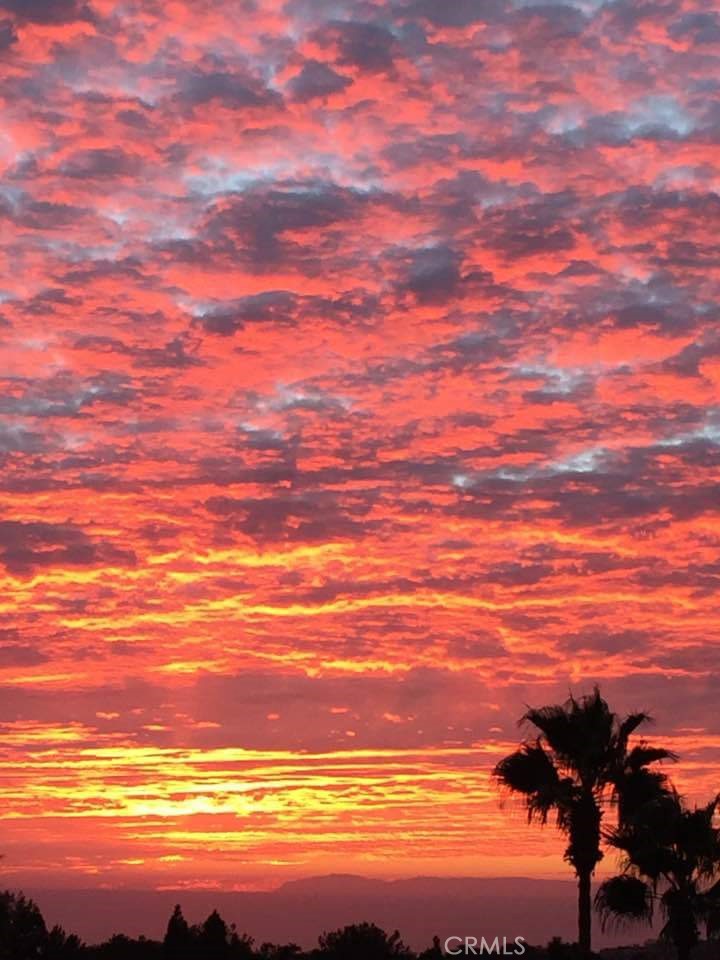 12 Los Cabos
