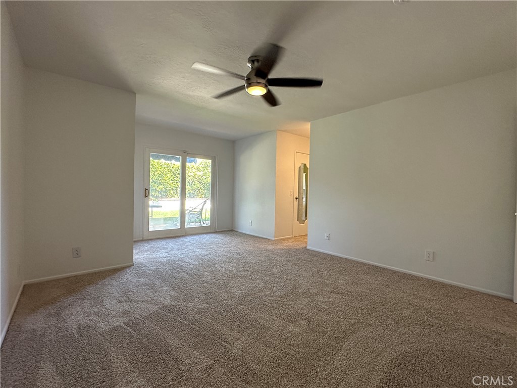 24451 Peacock St.