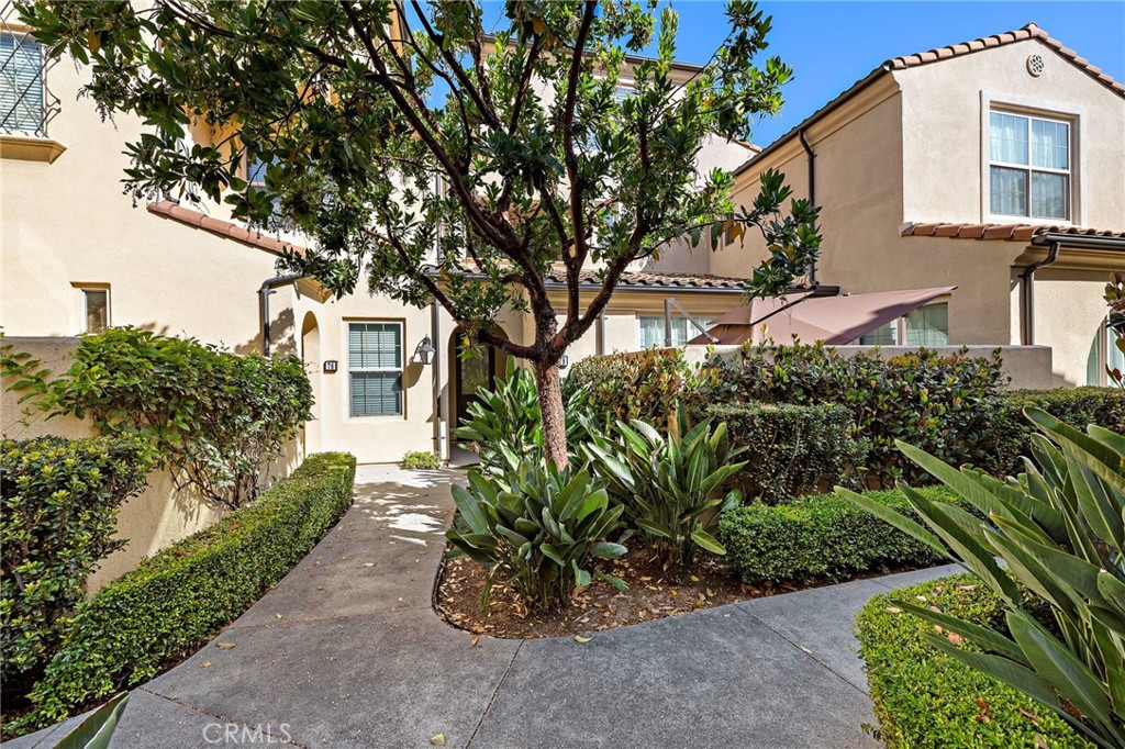 78 Tallowood