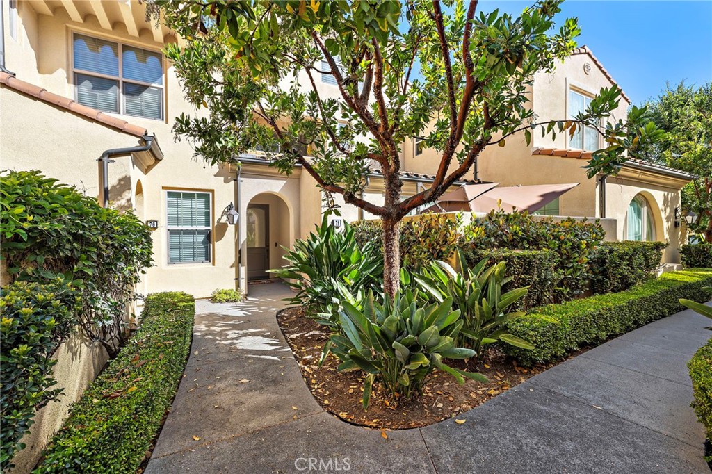 78 Tallowood