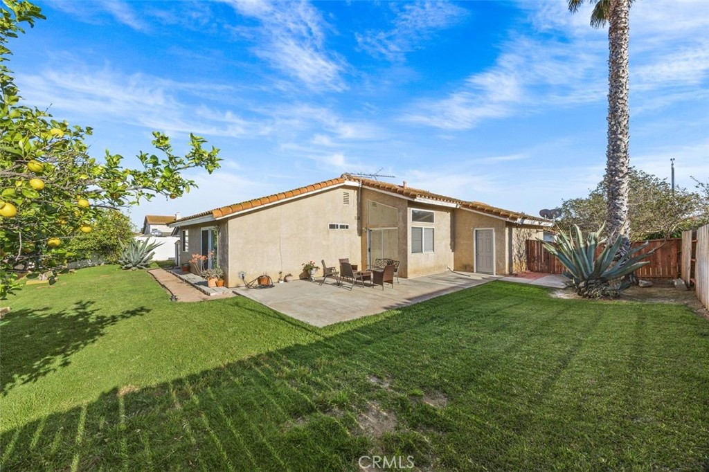 11031 Sierra Tree