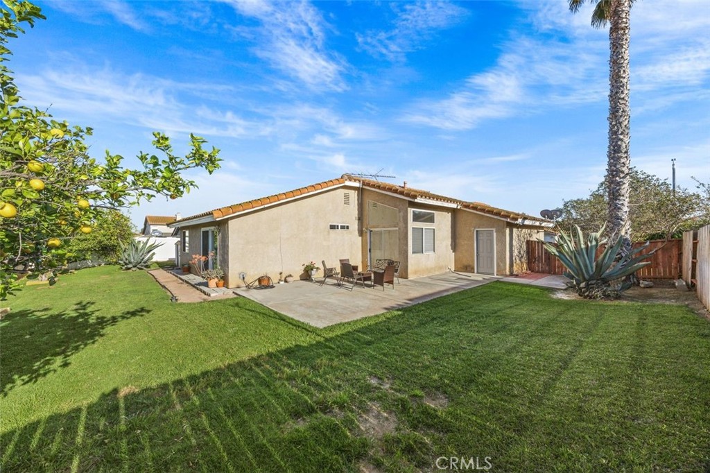 11031 Sierra Tree