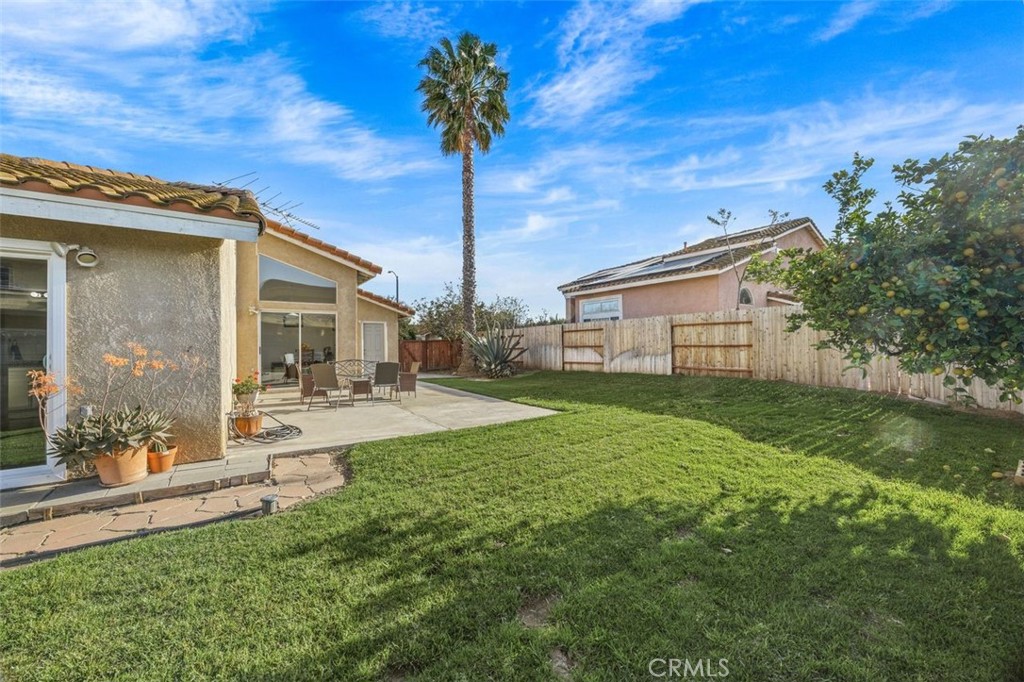 11031 Sierra Tree