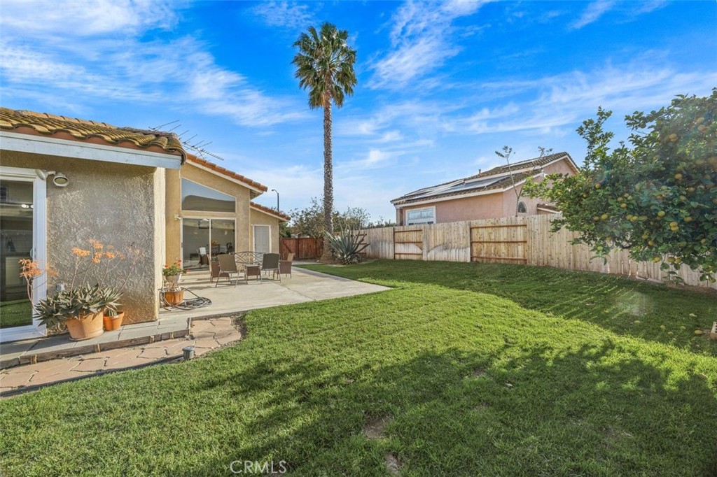 11031 Sierra Tree