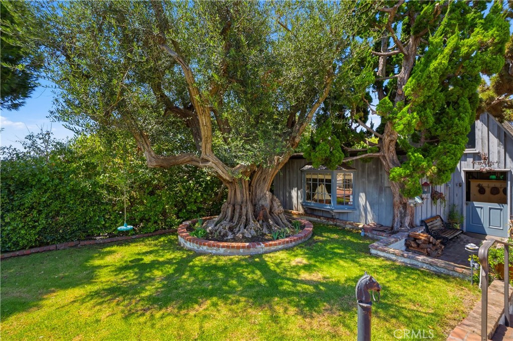 215 Ocean View