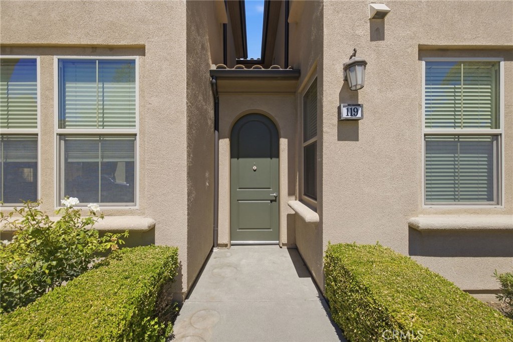119 Wild Rose