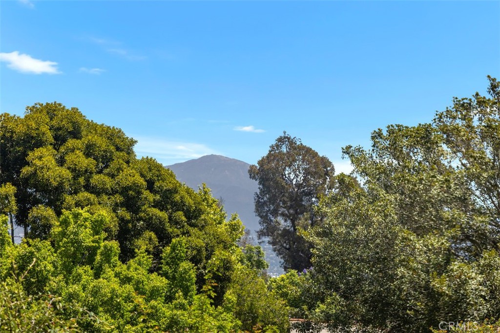 4025 Calle Sonora Este 1C