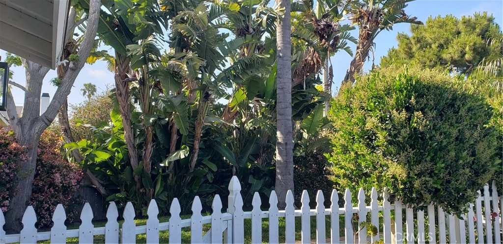 215 Knox Street