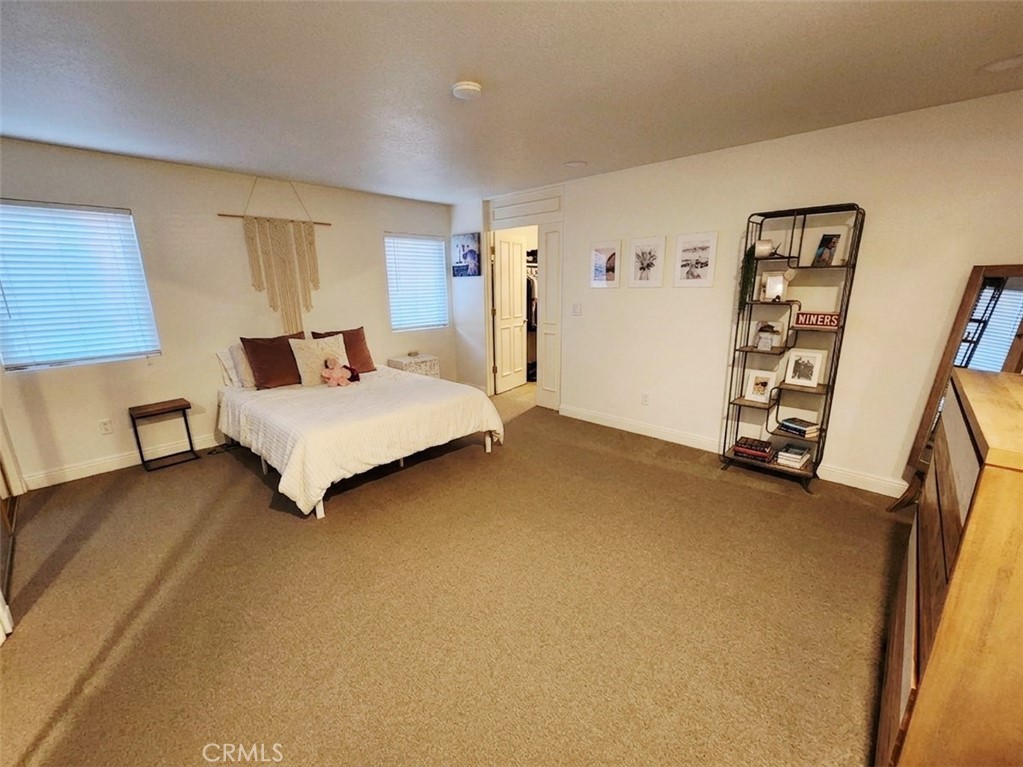 3336 Paseo Halcon