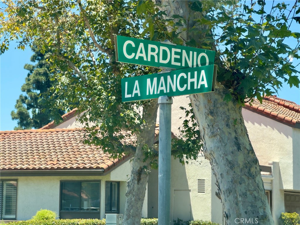 26531 Cardenio