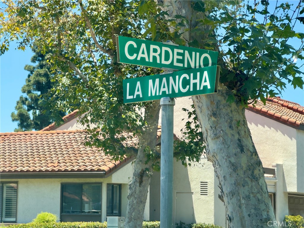 26531 Cardenio