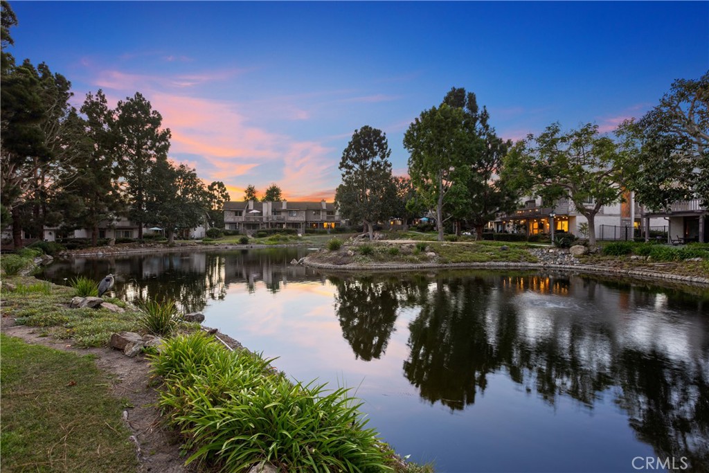 26972 Mill Pond Road 30