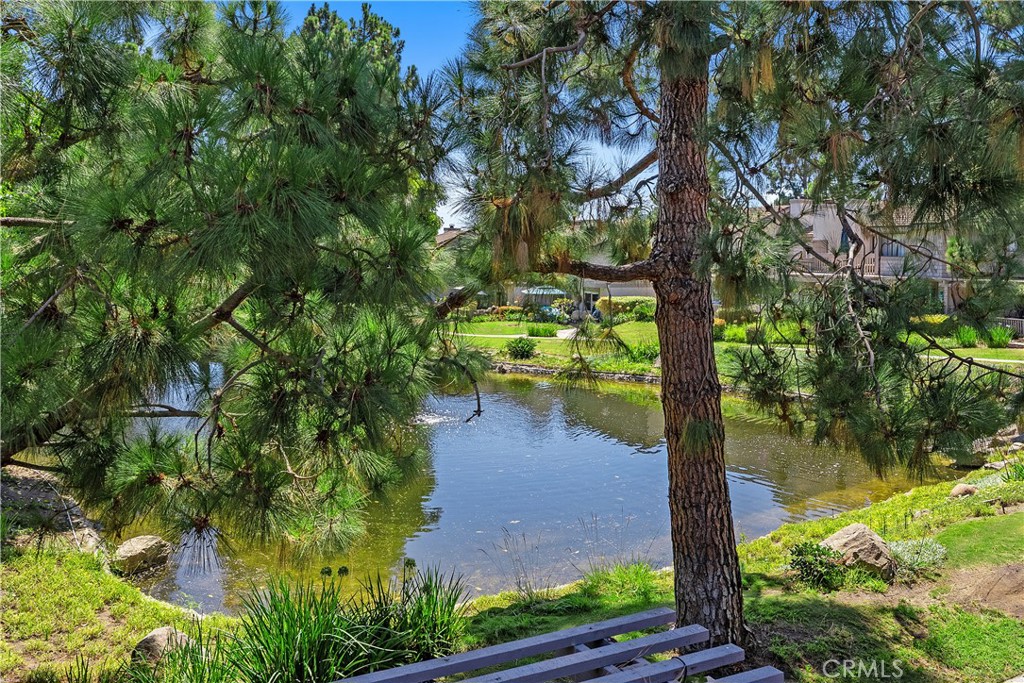 26972 Mill Pond Road 30