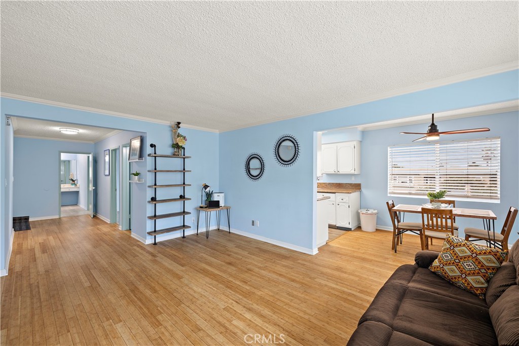 335 Cedar Ave #315