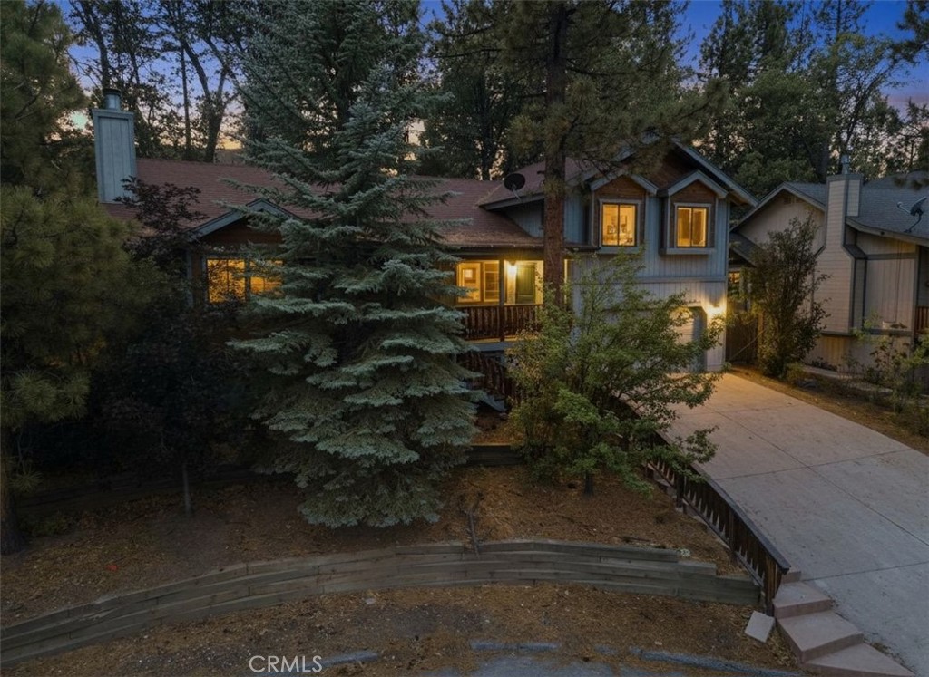 42745 Tannenbaum