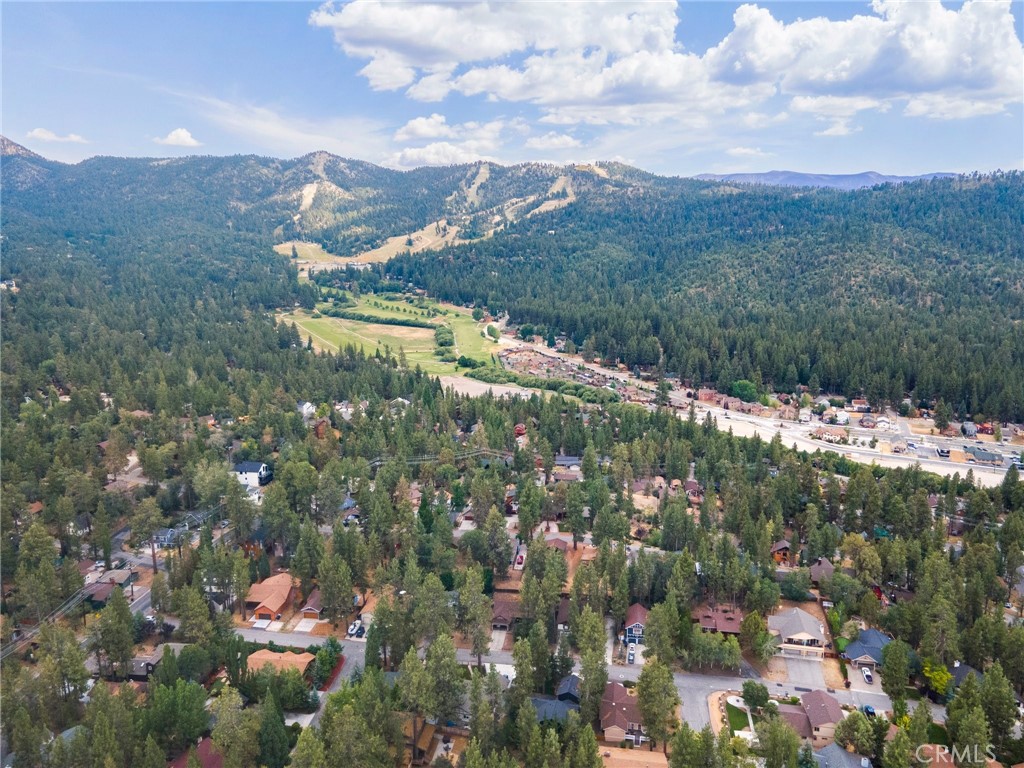 42745 Tannenbaum