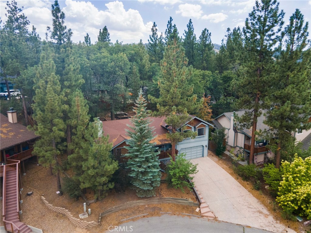 42745 Tannenbaum