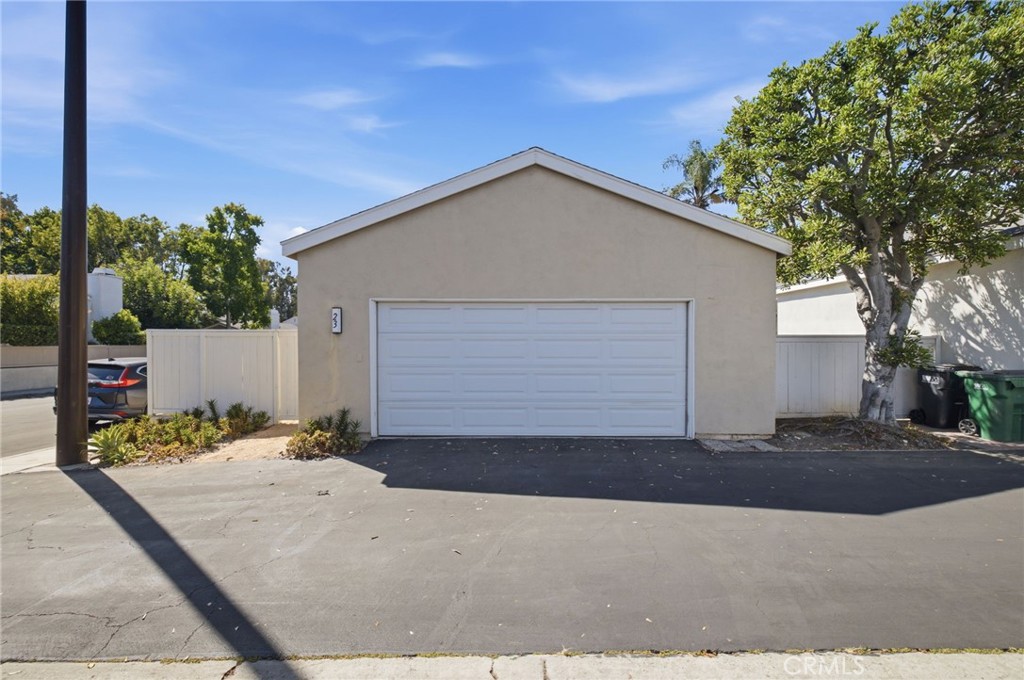 23 Spring Buck