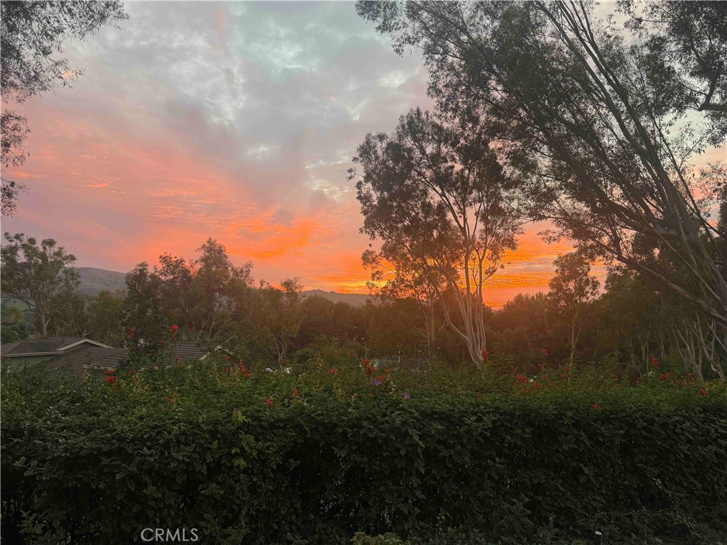 40 Morning View